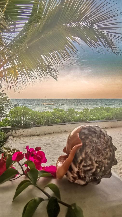 Villa Malaika Jambiani  Dış mekan fotoğraf